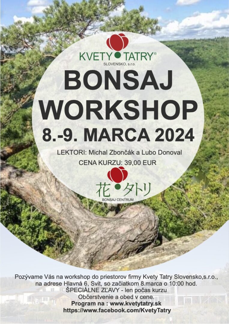 Bonsai workshop 2024